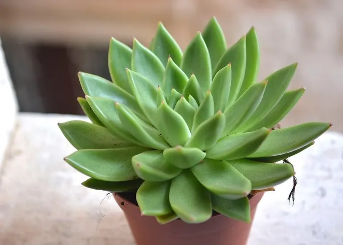 Maison d'hôtes In 3*