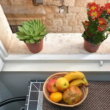 In 3* דוברובניק